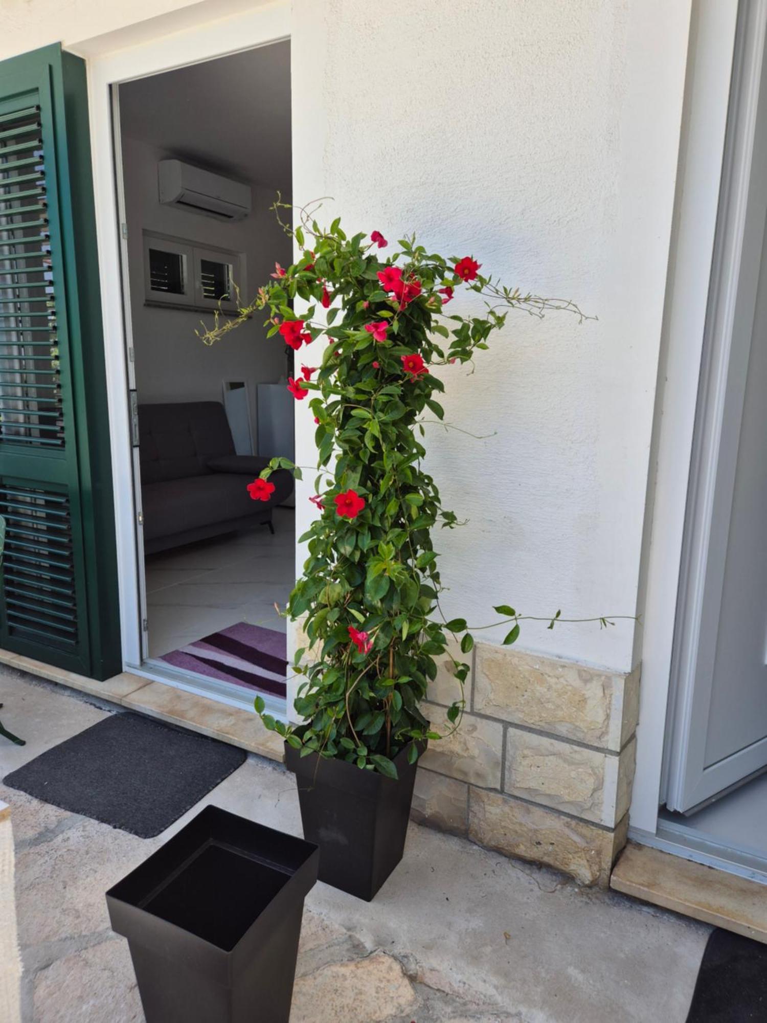 Apartman Bauer - Omis- Nemira 外观 照片
